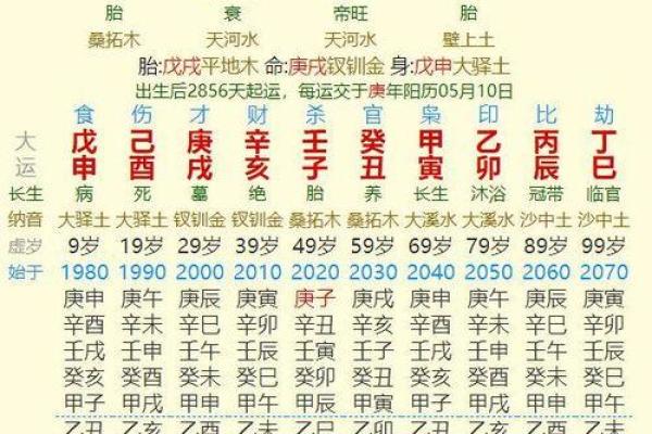 如何根据生辰八字解析辛亥年运程,助你迎来好运 如何根据生辰八字解析辛亥年运程,助你迎来好运