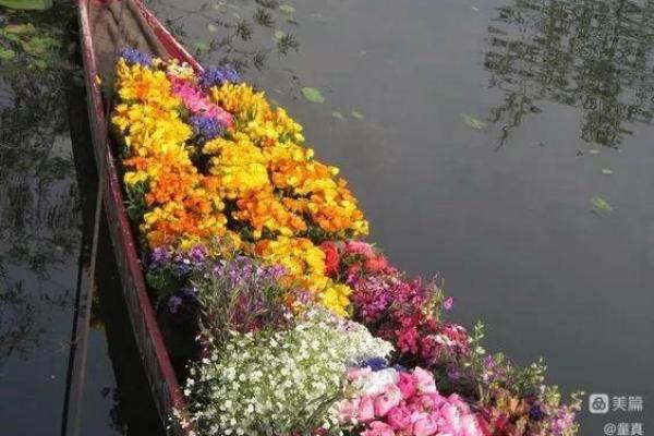 十月出生的孩子:属于金秋的命运与性格解析 十月出生的孩子:属于金秋的命运与性格解析