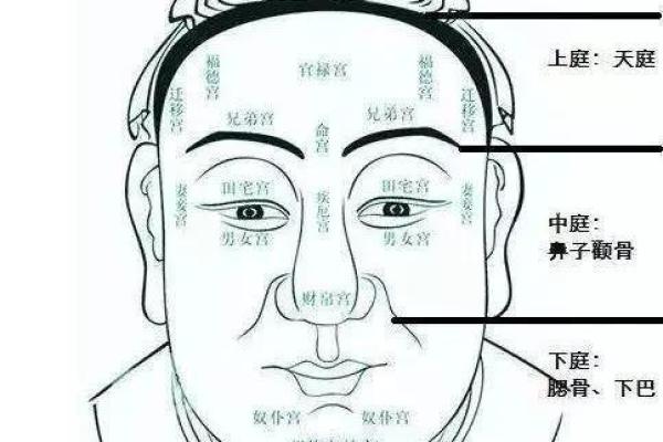 男生的鼻型与命运:你是否也该关注这“面相”秘密? 男生的鼻型与命运:你是否也该关注这“面相”秘密?