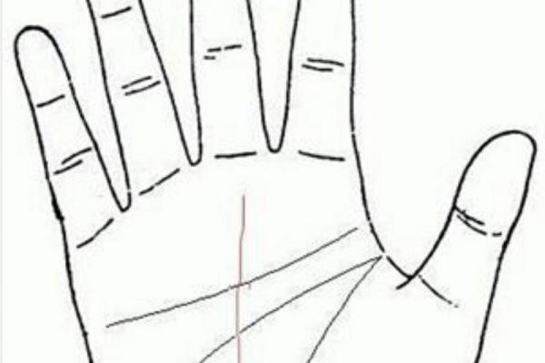 探秘命理:解析1991年6月21日出生者的命运之道 探秘命理:解析1991年6月21日出生者的命运之道