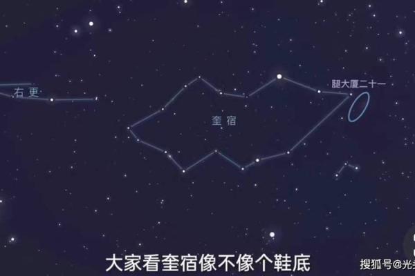 农历冬月十一出生的人命运解析:深邃内涵与人生启示 农历冬月十一出生的人命运解析:深邃内涵与人生启示