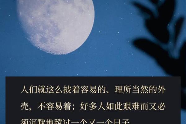 1988年出生的33岁命运,揭示人生的转折与可能性 1988年出生的33岁命运,揭示人生的转折与可能性