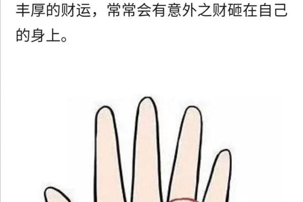 洞察男人掌纹,揭示命运的秘密与智慧 洞察男人掌纹,揭示命运的秘密与智慧