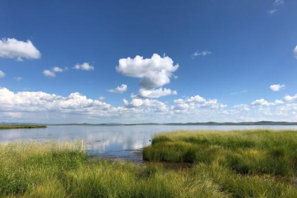 2000年:龙年,魅力无限的命年之旅 2000年:龙年,魅力无限的命年之旅