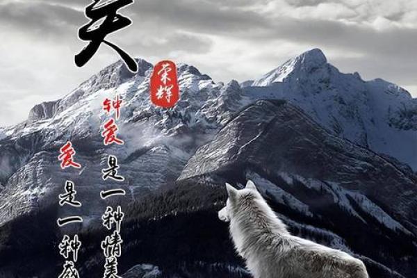 强木命人士适合的头像选择指南,展现个性与特色 强木命人士适合的头像选择指南,展现个性与特色