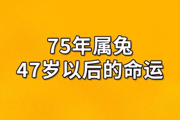 解读1975年出生的命运:如何找寻人生的方向与平衡 解读1975年出生的命运:如何找寻人生的方向与平衡