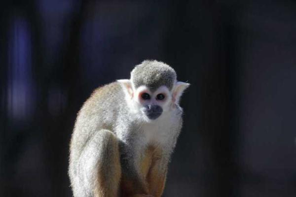 1990年属马人的命运解析:吉凶与发展之路 1990年属马人的命运解析:吉凶与发展之路