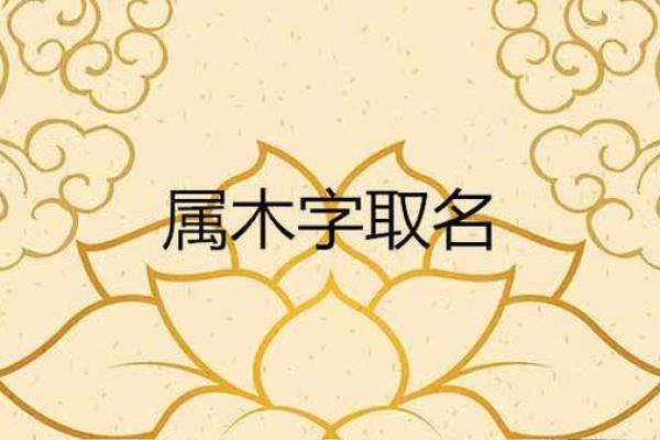 天罗地网木命的命理解析:最怕的是什么? 天罗地网木命的命理解析:最怕的是什么?