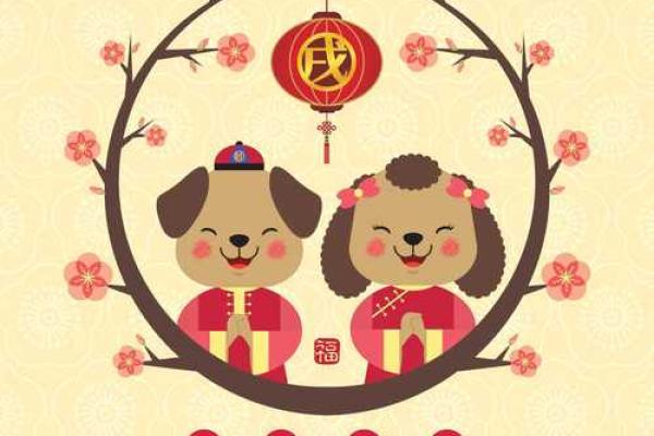 98年出生的人命配什么生肖,探寻命理与运势的奥秘 98年出生的人命配什么生肖,探寻命理与运势的奥秘