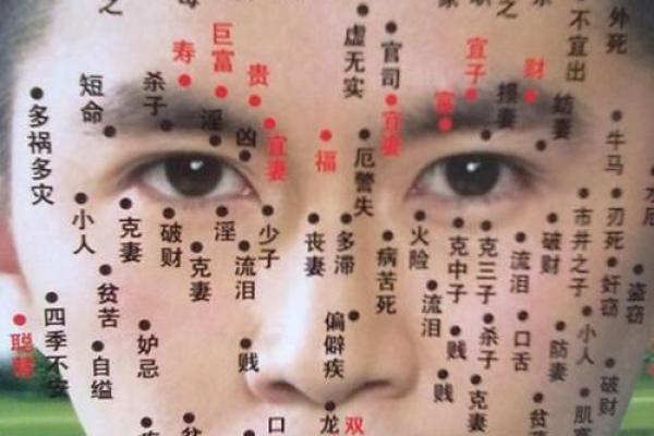 1970年出生的人——命运与性格解析 1970年出生的人——命运与性格解析