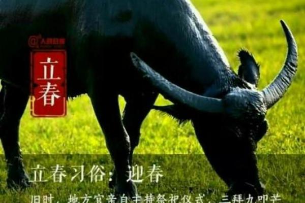 腊月十一的神秘命运与传统习俗探秘 腊月十一的神秘命运与传统习俗探秘