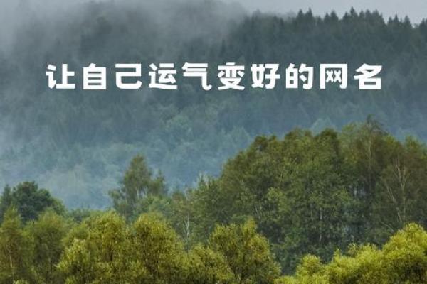 火命女孩的独特网名：燃烧心灵的创意之选