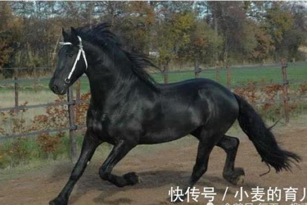 19904年4月15日出生的人：命运与性格的奇妙交织