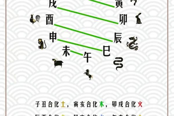 命理学基础知识与实践应用揭秘：揭开人生轨迹的神秘面纱