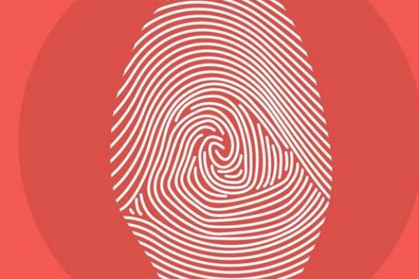 周易解读：簸箕命的神秘性与人生启示