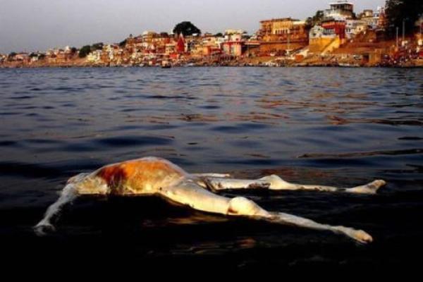 男子命犯天花,命理揭秘与解决方案解析 男子命犯天花,命理揭秘与解决方案解析