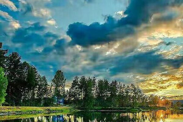 不同命格种不同树，成语智慧启示人生