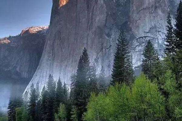 1990年属马的命理解析:木命的特性与人生旅程 1990年属马的命理解析:木命的特性与人生旅程