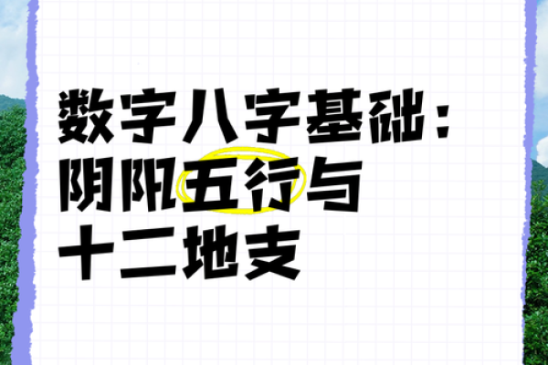 六两七女命与男命的最佳搭配，揭开命理奥秘！