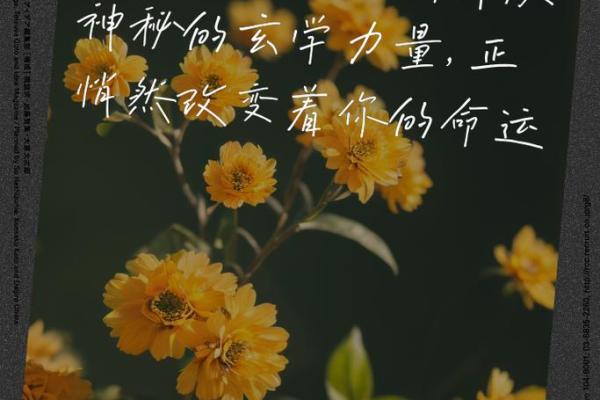 根据名字带什么字什么命,探寻命名的奥秘与美好 根据名字带什么字什么命,探寻命名的奥秘与美好