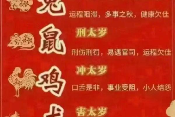 2023年出生孩子的命运解析：生肖兔的独特性与人生指引