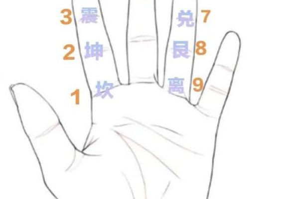 伤官见官:解密男命女命中的命理玄机 伤官见官:解密男命女命中的命理玄机