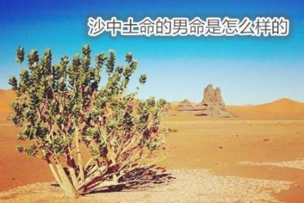 沙中土命之爱的最佳搭配:寻找完美伴侣的方法 沙中土命之爱的最佳搭配:寻找完美伴侣的方法