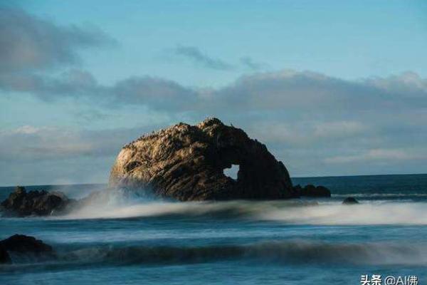 属猪大海水命的运势与生活智慧探究 属猪大海水命的运势与生活智慧探究