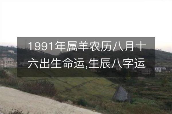 91年属羊,性格解读与命运分析 91年属羊,性格解读与命运分析