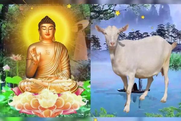 91年属羊,性格解读与命运分析 91年属羊,性格解读与命运分析