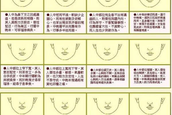 1954年出生的人命运解析:从五行看人生轨迹与性格特征 1954年出生的人命运解析:从五行看人生轨迹与性格特征