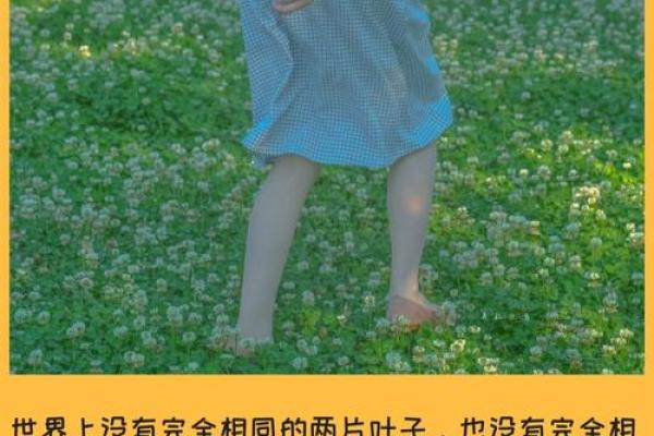 1954年出生的人命运解析:从五行看人生轨迹与性格特征 1954年出生的人命运解析:从五行看人生轨迹与性格特征