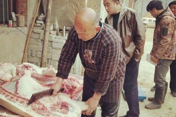 探秘乙亥正月出生猪年人的命运与性格特征