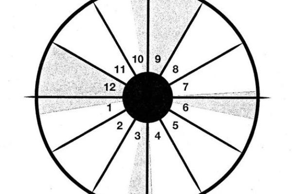 亥时出生的命格分析：解密你的人生轨迹与性格特征