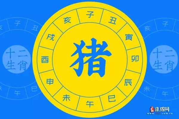 以生肖为镜：揭示出生年份对应的命运走势与人生解析