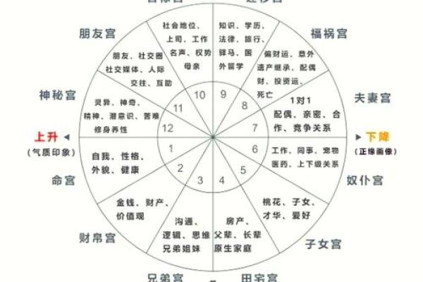 揭秘命运：哪些命格容易导致短命？