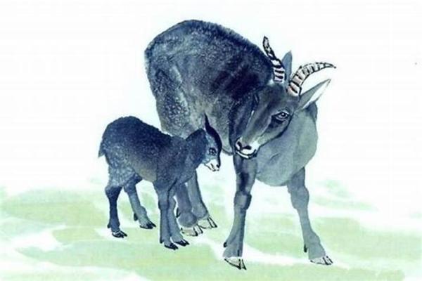 1903年属羊的命理分析与人生启示 1903年属羊的命理分析与人生启示