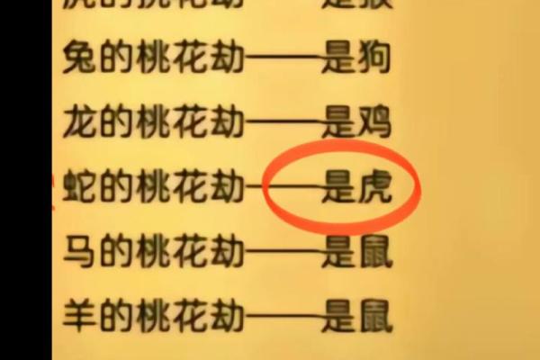属相与命运:理想婚配的秘密解读 属相与命运:理想婚配的秘密解读