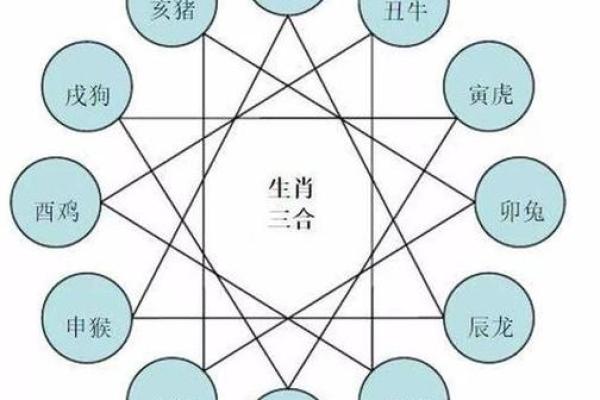 揭秘土命之人的生肖特征与性格分析 揭秘土命之人的生肖特征与性格分析