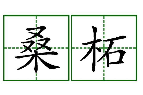 桑拓木命与何种命人的最佳结合探秘 桑拓木命与何种命人的最佳结合探秘