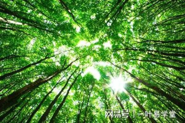 大海水命的忌讳与生活智慧:如何趋吉避凶 大海水命的忌讳与生活智慧:如何趋吉避凶