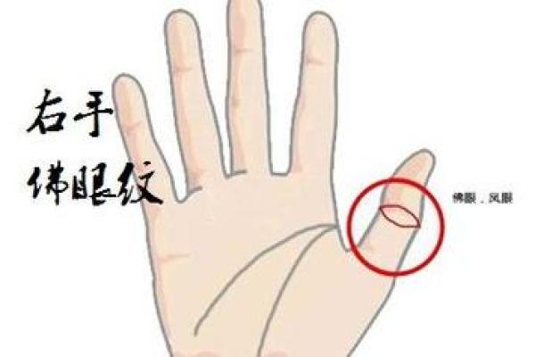 2021年牛牛的命运解析:运势、性格与未来展望 2021年牛牛的命运解析:运势、性格与未来展望