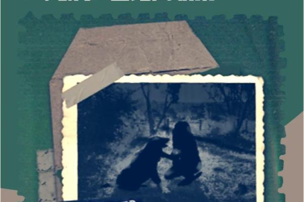 21977年:探索未来的边界与可能性,迎接科技与人类的新篇章 21977年:探索未来的边界与可能性,迎接科技与人类的新篇章