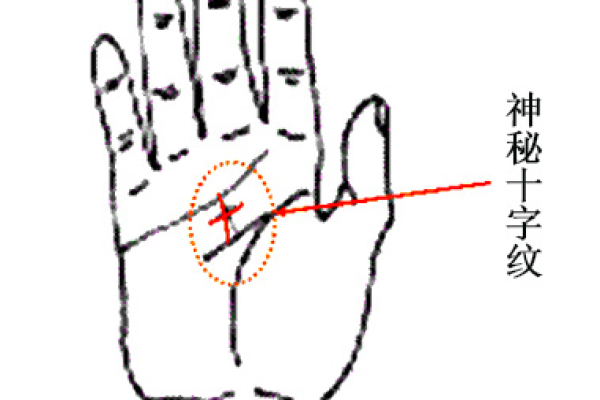 浅薄手纹的命格解析:命运与潜能的神秘关联 浅薄手纹的命格解析:命运与潜能的神秘关联