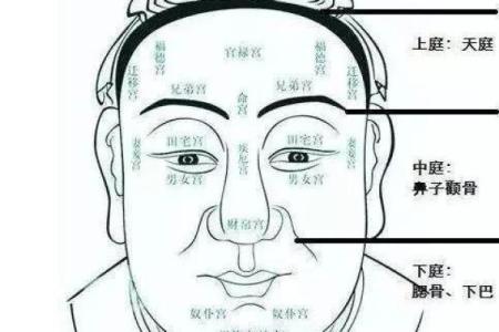 男生的鼻型与命运：你是否也该关注这“面相”秘密？