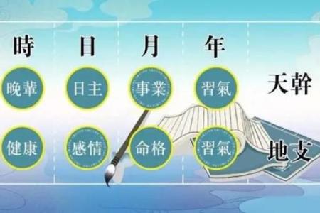 2023年的命理趋势与生活选择：易居风水助你开启幸运之年