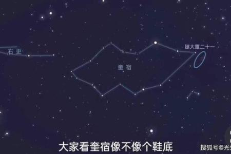 农历冬月十一出生的人命运解析：深邃内涵与人生启示