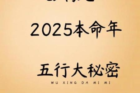 2010年属蛇的人：命运解读与性格分析