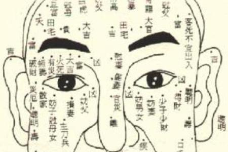 背后有瘊子的人生运势解析：命运背后的秘密与转机