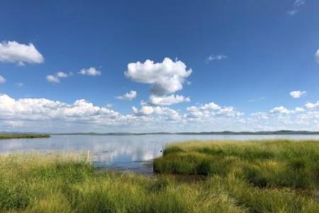 2000年：龙年，魅力无限的命年之旅